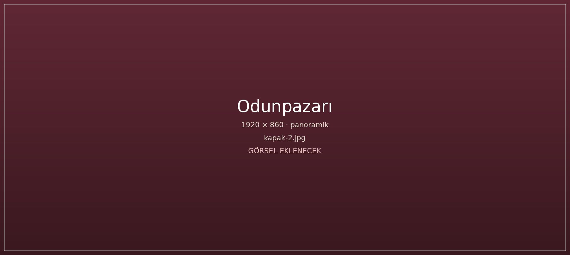 Odunpazarı’nın tarihî doku panoraması