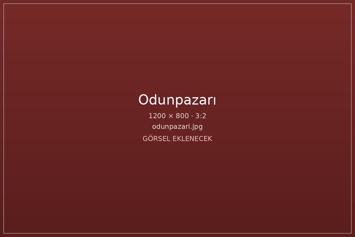 Odunpazarı’nda tarihî ahşap evler ve sokak dokusu