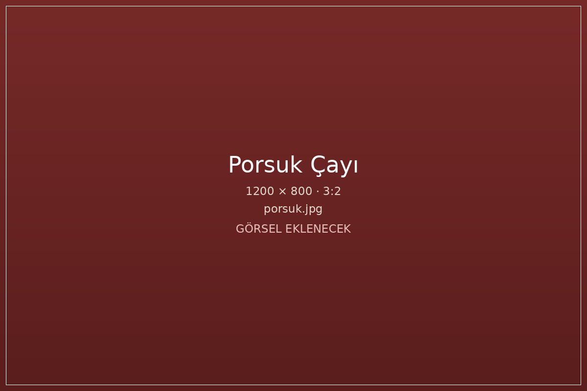 Eskişehir şehir merkezinde Porsuk Çayı ve kıyı düzenlemesi